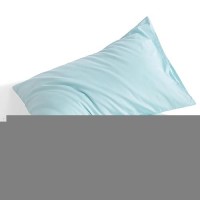 Ntbay Standard Cotton Pillowcases - Envelope Closure 20X26 Pillowcases Set Of 2  Breathable And Soft Bed Pillow Cases  Aqua