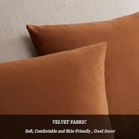 Gigizaza Pillow Covers 20X20 Velvet Decorative Pillows Sofa Couch Throw Pillow Covers Dark Burnt Orange Pack Of 2 Cushion Covers