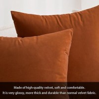 Miulee Rust Velvet Throw Pillow Cover 12 X 20 Inch Soft Decorative Pillow Cover Fall Lumbar Cushion Case Home Decor For Couch So