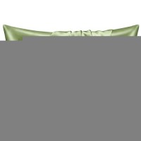 Bedelite Satin Pillowcase With Zipper  Cedar Green Pillow Cases Queen Size Set Of 2  Super Soft And Cooling Similar To Silk Pillow Cases  Gift For Women Men(20X30 Inches)