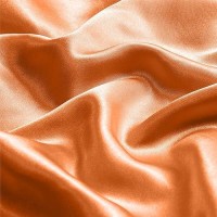 Bedelite Satin Pillowcase With Zipper  Burnt Orange Pillow Cases Queen Size Set Of 2  Super Soft And Cooling Similar To Silk Pillow Cases  Gift For Women Men(20X30 Inches)