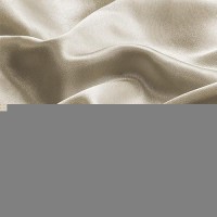 Bedelite Satin Pillowcase With Zipper  Taupe Pillow Cases Queen Size Set Of 2  Super Soft And Cooling Similar To Silk Pillow Cases  Gift For Women Men(20X30 Inches)