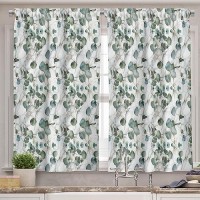 Ambesonne Botanical Valance Tier Curtain 3 Pcs Set Modern Abstract Eucalyptus Branches On Marble Print Background Art Window