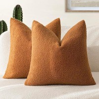 Foindtower Pack Of 2 Curly Faux Fur Decorative Throw Pillow Covers Soft Fuzzy Plush Cushion Case With Zipper Cozy Pillowcase Fo