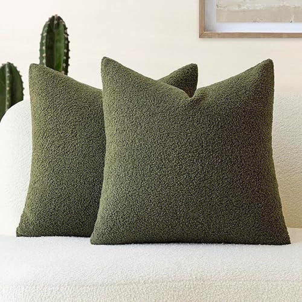 Foindtower Pack Of 2 Curly Faux Fur Decorative Throw Pillow Covers Soft Fuzzy Plush Cushion Case With Zipper Cozy Pillowcase Fo