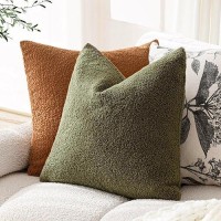 Foindtower Pack Of 2 Curly Faux Fur Decorative Throw Pillow Covers Soft Fuzzy Plush Cushion Case With Zipper Cozy Pillowcase Fo