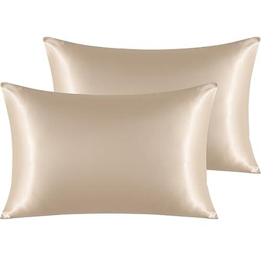 Ntbay 2 Pack Satin Queen Pillowcases For Hair And Skin Luxurious And Silky Pillow Cases With Envelope Closure 20X30 Inches Ta