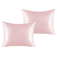 Ntbay 2 Pack Satin Standard Pillowcases For Hair And Skin Luxurious And Silky Pillow Cases With Envelope Closure 20X26 Inches