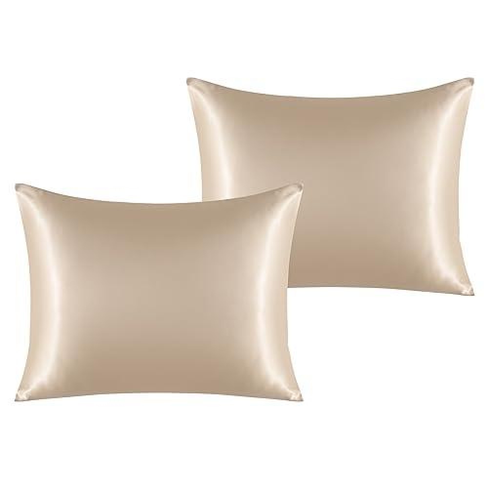 Ntbay 2 Pack Satin Standard Pillowcases For Hair And Skin Luxurious And Silky Pillow Cases With Envelope Closure 20X26 Inches