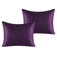 Ntbay 2 Pack Satin Standard Pillowcases For Hair And Skin Luxurious And Silky Pillow Cases With Envelope Closure 20X26 Inches