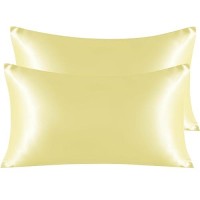 Ntbay 2 Pack Satin King Pillowcases For Hair And Skin Luxurious And Silky Pillow Cases With Envelope Closure 20X36 Inches Lig