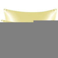 Ntbay 2 Pack Satin King Pillowcases For Hair And Skin Luxurious And Silky Pillow Cases With Envelope Closure 20X40 Inches Lig