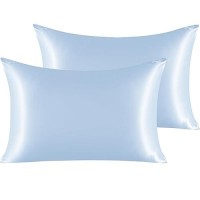 Ntbay 2 Pack Satin Queen Pillowcases For Hair And Skin Luxurious And Silky Pillow Cases With Envelope Closure 20X30 Inches Aq