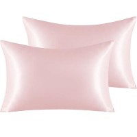 Ntbay 2 Pack Satin Queen Pillowcases For Hair And Skin Luxurious And Silky Pillow Cases With Envelope Closure 20X30 Inches Li