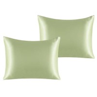 Ntbay 2 Pack Satin Standard Pillowcases For Hair And Skin Luxurious And Silky Pillow Cases With Envelope Closure 20X26 Inches