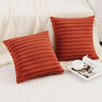 Pallene Faux Fur Plush Fall Throw Pillow Covers 24X24 Set Of 2 Luxury Soft Fluffy Striped Decorative Pillow Covers For Sofa C