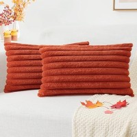 Pallene Faux Fur Plush Fall Throw Pillow Covers 12X20 Set Of 2 Luxury Soft Fluffy Striped Decorative Pillow Covers For Sofa C