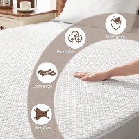 Bedlore Waterproof Twin Xl Mattress Protector  Noiseless Mattress Cover With Stretchable Pockets For 6-14 Inches Mattress  Soft Breathable Mattress Pad College Dorm Size For Back To School (White)