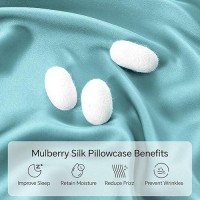 Infiixso Mulberry Silk Pillowcase For Hair And Skin  Silk Pillow Cases Queen Size With Hidden Zipper 20X30 Inches  Extraordinary Smooth And Soft Cooling Pillow Cases For Hot Sleepers(Icy Morn  1 Pack)