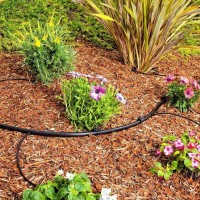 100 Feet Usa Made Irrigation Drip Line Emitter Tubing 6 Spacing 14 52 Gph Color Black 170 Id X 240 Od