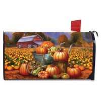 Briarwood Lane Pumpkin Farm Fall Magnetic Mailbox Cover Cart Autumn Standard