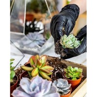 Melphoe 25Pcs Mini Garden Hand Transplanting Succulent Tools Set  39.4