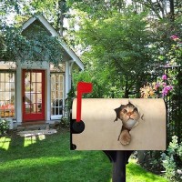 Magnetic Mailbox Cover Cute Kitty Cat Decorative Mailwraps Mailbox Post Box Cover Standard Size For Garden Yard 21 18 Inch