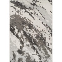 Rocco RC3 Silver 33 x 51 Rug