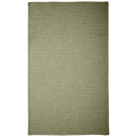 Westminster Area Rug 4 by 6Feet Palm