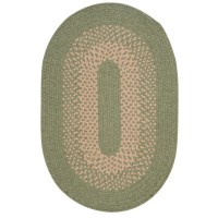 Jackson Oval Area Rug 2 by 8Feet Palm