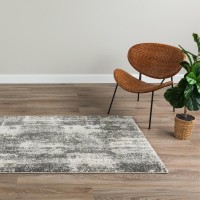 Reston 36 Gray 51X75 Area Rug