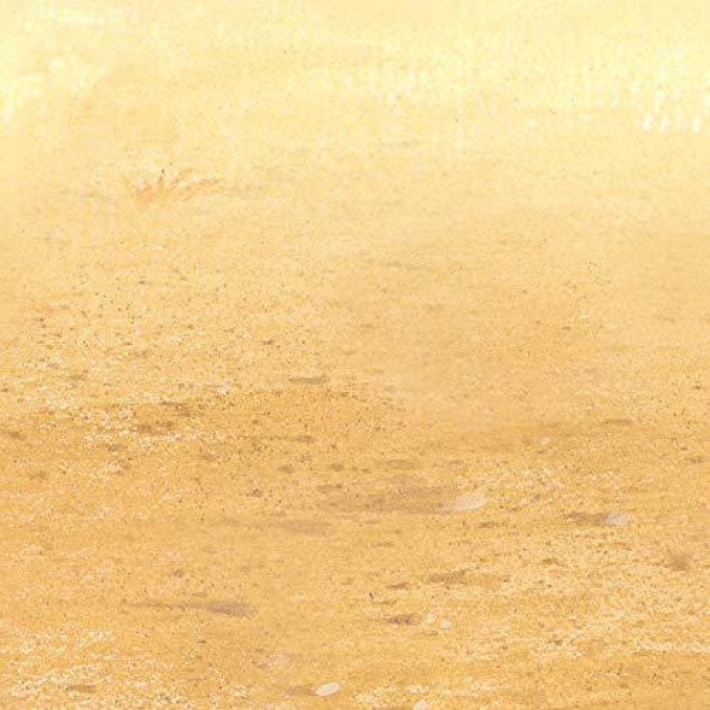 Beistle Desert Sand Wall Backdrop  4??X 30??- Western Decor  Photo Backdrop  Easy To Adhere Wall Covering  Western Party Decorations  Cowboy Party Decorations