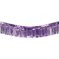 Beistle Metallic Fringe Drape Hanging Curtain Party Decor Mardi Gras Supplies 10 X 15 Purple