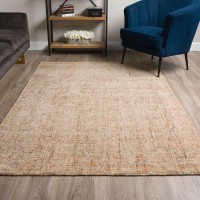 Calisa CS5 Desert 36 x 56 Rug