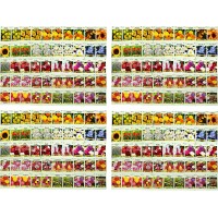 Set Of 200 Assorted Flower Seed Packets Flower Seeds In Bulk 20 Varieties Available