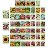 Set Of 50 Assorted Flower Seed Packets Flower Seeds In Bulk 10 Varieties Available