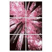 Homeroots Blossom Trees 6Panel Photo On Canvas