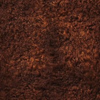 Homeroots 24 X 36 Chocolate Calfskin Area Rug