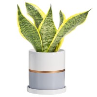 Ekirlin 4 Inch Plant Pot Ceramic Flower Planters Indoor Modern Succulents Containers With Drain Hole Saucer Decorate Home