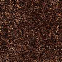 Alpha 31 Brown 5X76 Area Rug