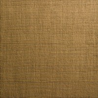 Jaxon 31 Camel 5'X8'  Area Rug