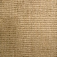 Jaxon 31 Dunes 5X8 Area Rug