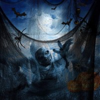 Tmflexe Halloween Creepy Cloth Giant (80 X 400 In.) Scary Gauze Cloth Spooky Halloween Decorations Party Supplies Decor Outdoor Yard Home Wall Haunted House Doorways Patio Garden Black