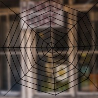 Pabipabi Halloween Giant Spider Web Decoration9Ft Round Fake Spider Elastic Belt Props For Indoor And Outdoor Halloween Decor P