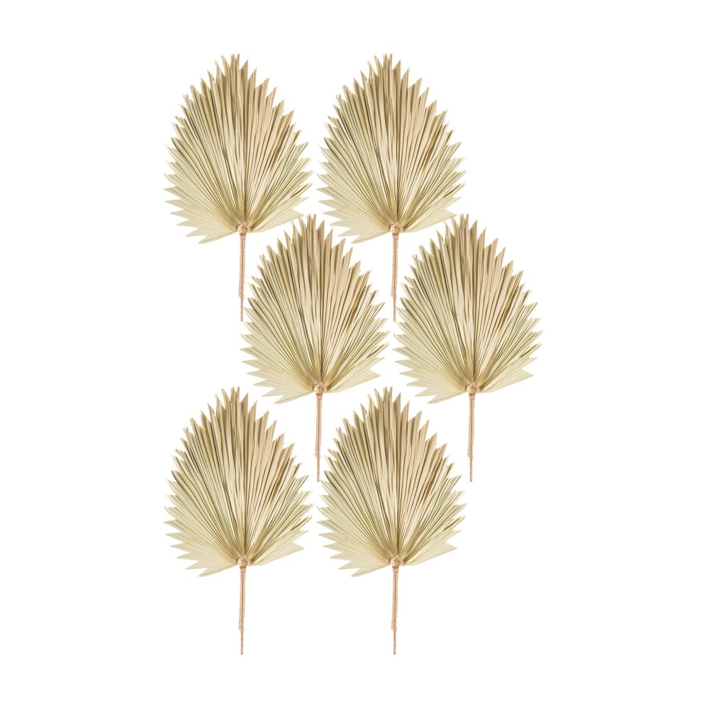 Fan Palm Leaf Set of 6