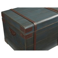 Accent Storage Trunk Blue