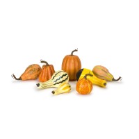 PumpkinGourd Decor Set of 8