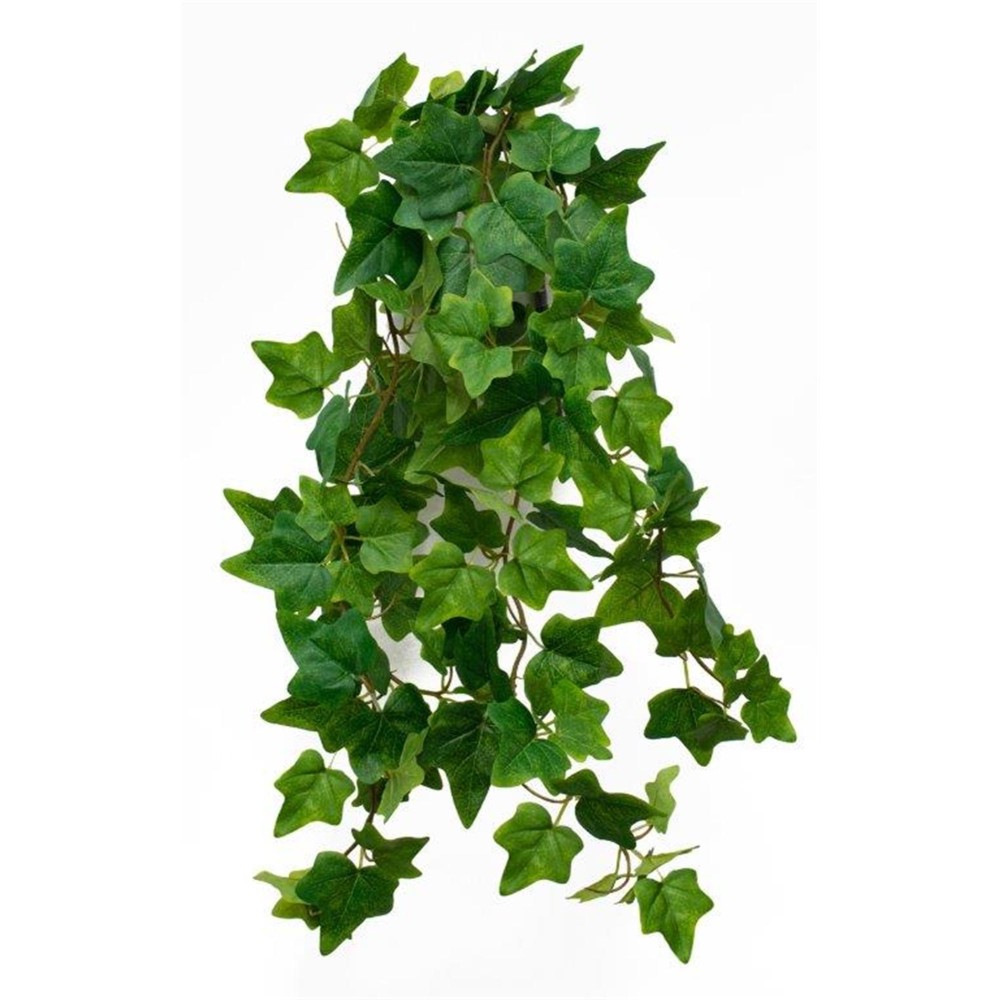 Hanging Ivy Vine