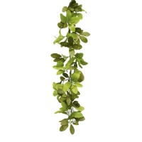 Foliage Garland 5'L Polyester Add a touch of nature to your home decor with this beautiful set of foliage Garlands. Measuring over 5ft long, the varigated foliage makes this piece the perfect addition to your everyday home decor. The quality fabric compos