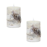 Led Birch Candle Set Of 2 W Remote